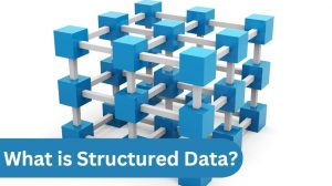 What is Structured Data and How to Improve SEO with Structured Data