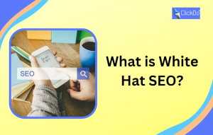 White Hat SEO Techniques- How to Improve Traffic to Website