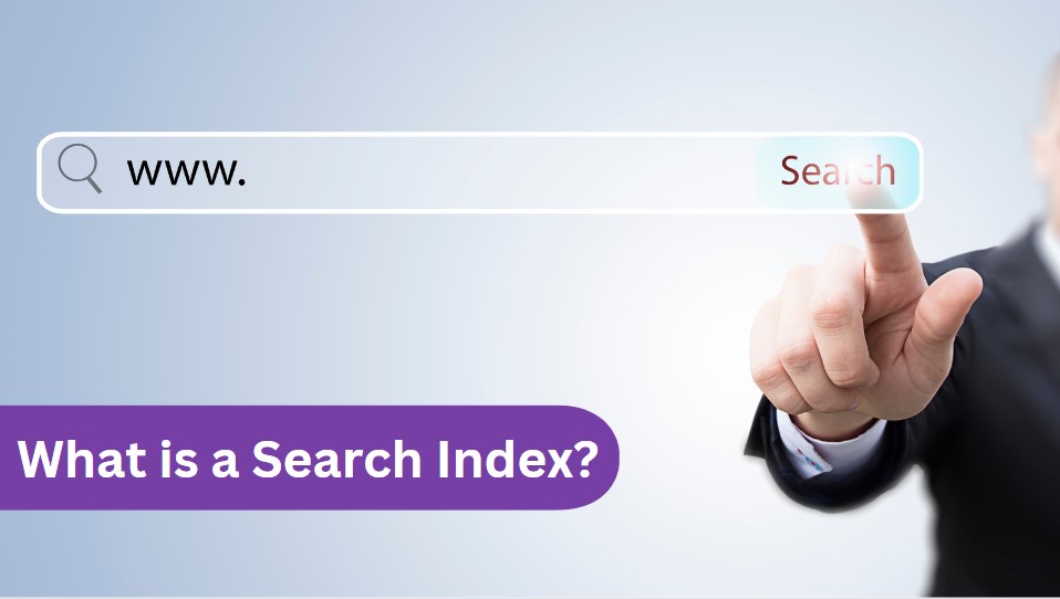 How does Search Index Work? A Complete Guide ClickDo