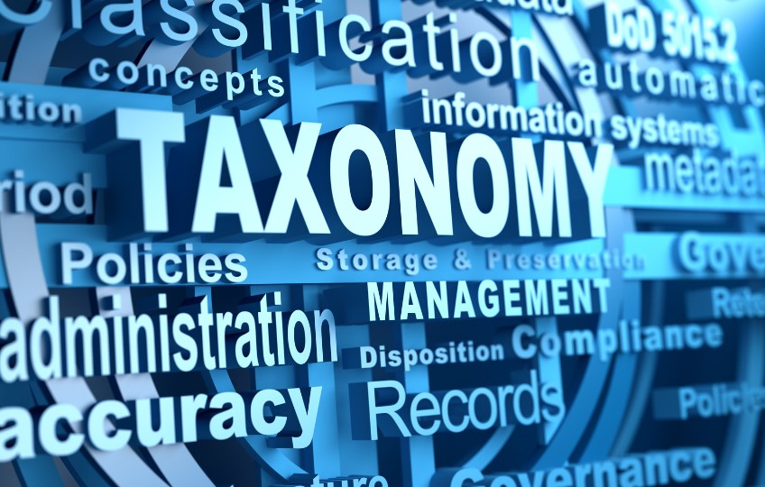 The Best Practices for Website Taxonomy? - Simplify Your Website Navigation