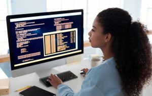 What is the WordPress Stress Test
